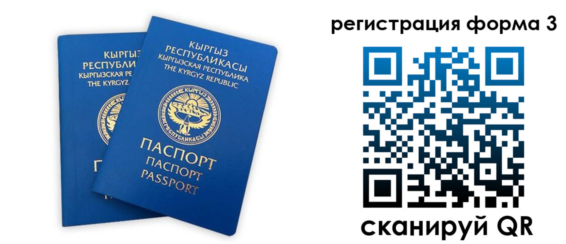 временная регистрация госуслуги в Павлово